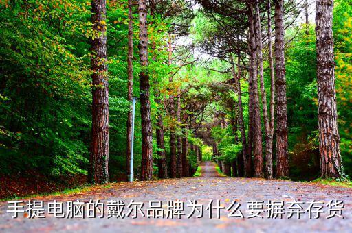 戴爾用信息代替庫存的后果是什么，我的筆記本電腦是DELL的前幾天買的人家二手貨他把系統的信