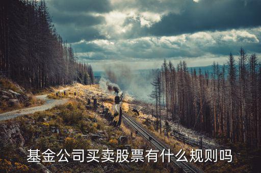 基金持有上市公司股票有什么限制嗎，基金公司買賣股票有什么規則嗎