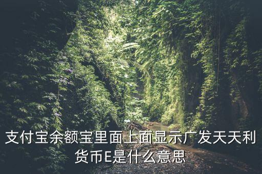 支付寶余額寶里面上面顯示廣發天天利貨幣E是什么意思