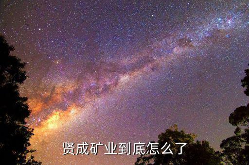 賢成集團為什么會破產，賢成礦業到底怎么了