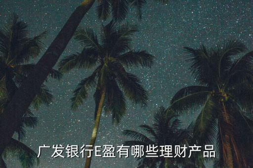 廣發銀行E盈有哪些理財產品