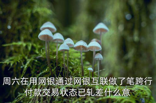 周六在用網銀通過網銀互聯做了筆跨行付款交易狀態已軋差什么意