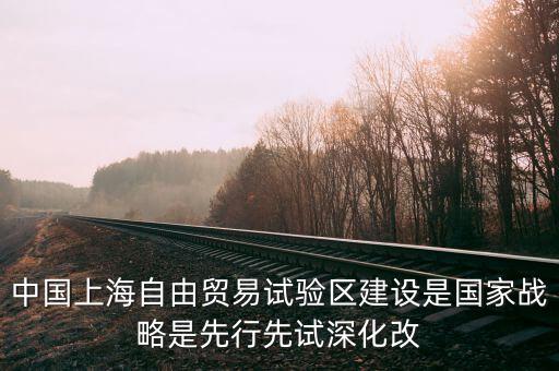 上海自貿區改革新60條是什么，建立上海自貿區屬于宏觀調控的哪個手段