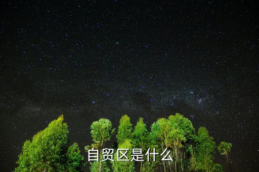 自貿區是什么
