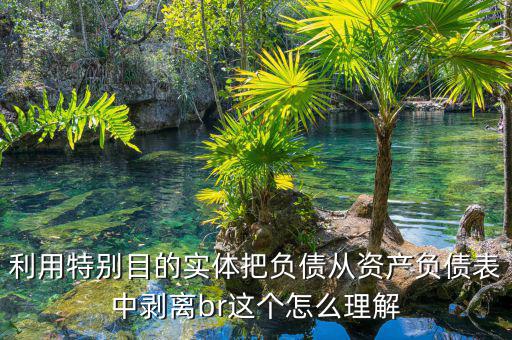 利用特別目的實體把負債從資產負債表中剝離br這個怎么理解