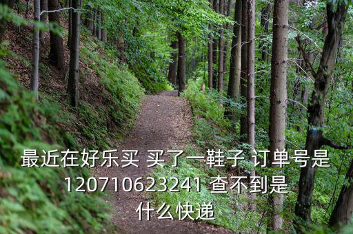 好樂買發什么快遞，我在好樂買用網銀付款買了雙鞋子請問他們都用什么快遞發貨