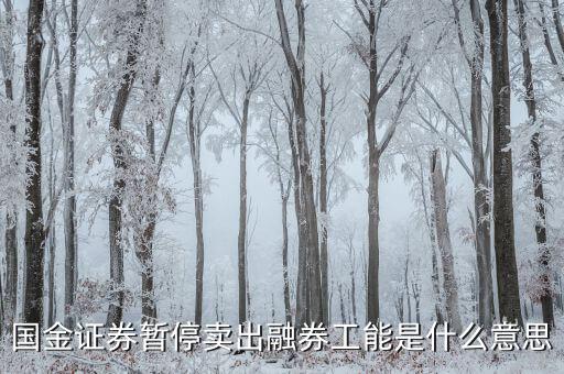 暫停融券是什么意思，國金證券暫停賣出融券工能是什么意思