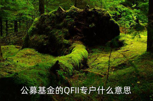 公募專(zhuān)戶是什么意思，什么是基金專(zhuān)戶