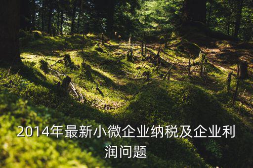2014年最新小微企業納稅及企業利潤問題