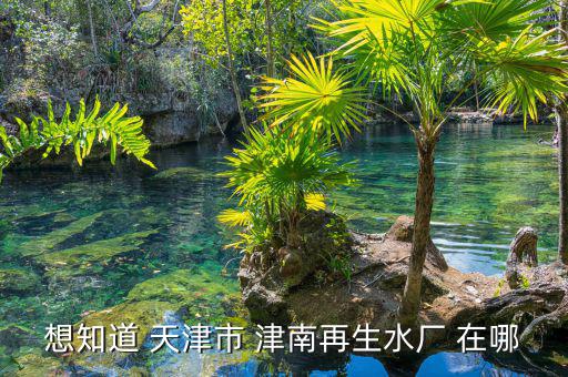 想知道 天津市 津南再生水廠(chǎng) 在哪
