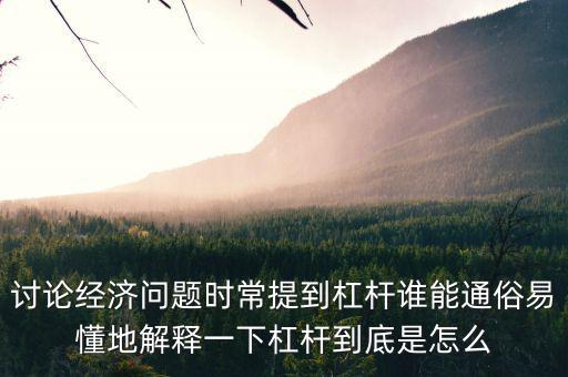 討論經濟問題時常提到杠桿誰能通俗易懂地解釋一下杠桿到底是怎么