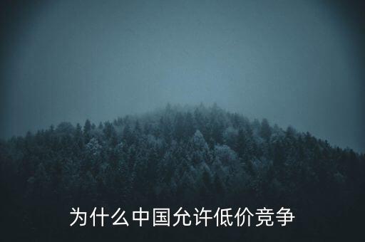 為什么中國允許低價(jià)競爭