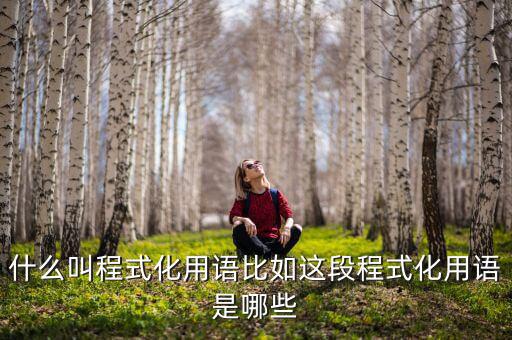 什么是程式化，幼兒園程式化活動是什么意思