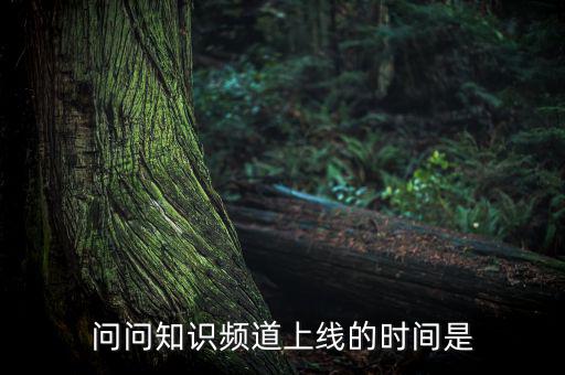 愛(ài)網(wǎng)貸平臺(tái)什么時(shí)候上線(xiàn)，問(wèn)問(wèn)知識(shí)頻道上線(xiàn)的時(shí)間是
