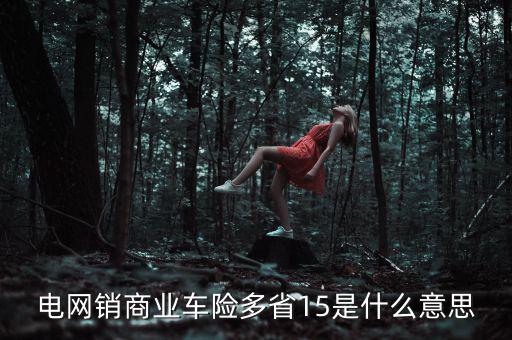 電網銷是什么意思，電網銷商業車險多省15是什么意思