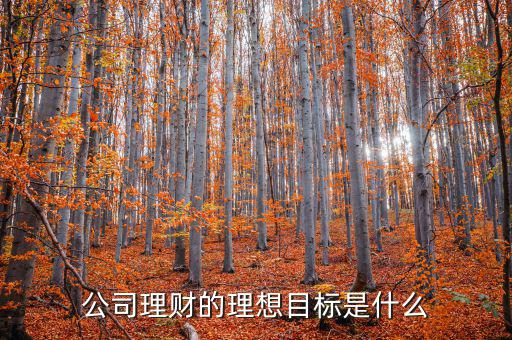 理財目標(biāo)是什么，公司理財?shù)睦硐肽繕?biāo)是什么