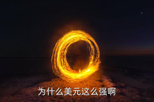 什么是強美元，為什么美元這么強啊