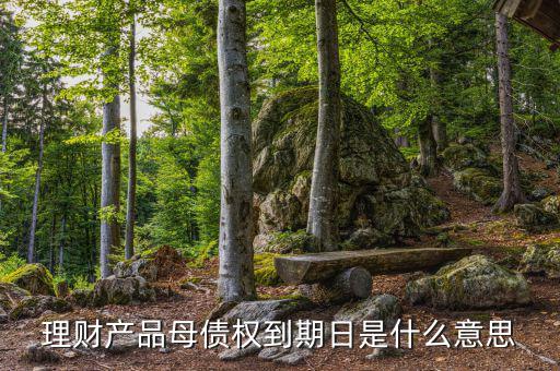 訂單債權到期什么意思，什么叫第三方到期債權