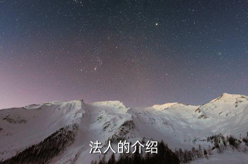 法人渠道是什么意思，法人的介紹