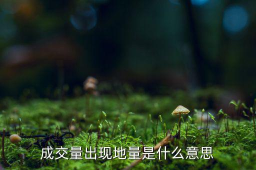 成交量出現地量是什么意思