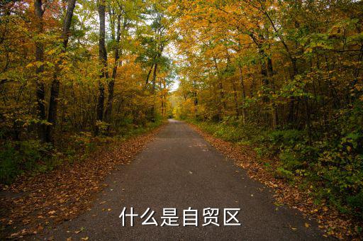 什么叫自貿區，什么叫自貿區