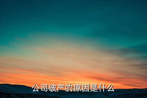 公司破產的原因是什么