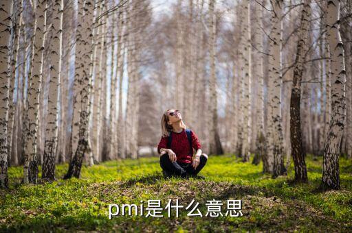 ism非制造業pmi是什么，pmi是什么意思
