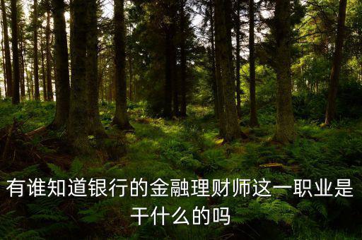 有誰知道銀行的金融理財師這一職業是干什么的嗎