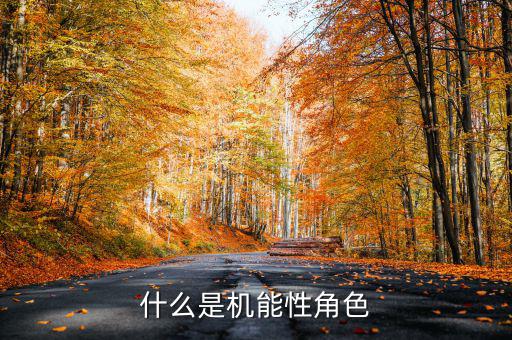 什么是名義剛性，什么是機能性角色