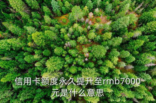 信用卡永久額度是什么意思，信用卡額度永久提升至rmb7000元是什么意思
