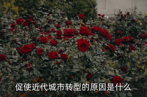 為什么城鎮化要轉型，促使近代城市轉型的原因是什么