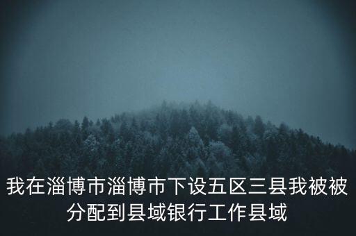 我在淄博市淄博市下設五區三縣我被被分配到縣域銀行工作縣域