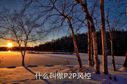 什么是風控機制，白條風控是什么意思