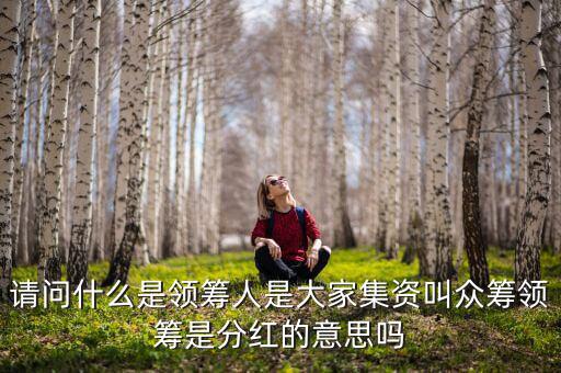 什么是領投人，請問什么是領籌人是大家集資叫眾籌領籌是分紅的意思嗎