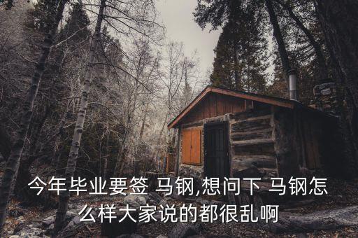 今年畢業要簽 馬鋼,想問下 馬鋼怎么樣大家說的都很亂啊