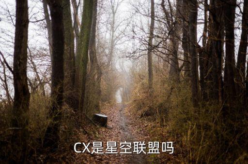 CX是星空聯盟嗎