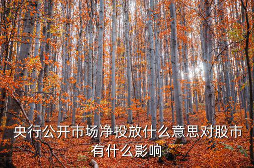 什么是央行凈投放，央行凈投放是甚么意思