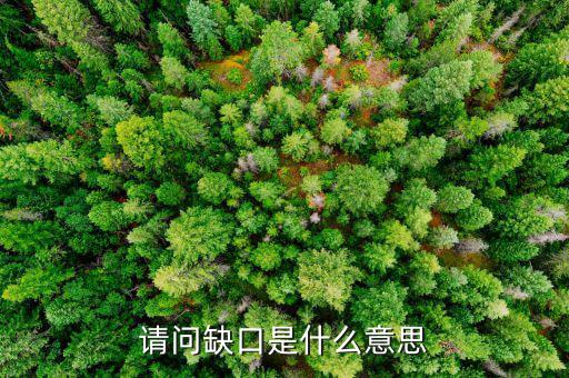 什么是失業(yè)缺口，什么是缺口什么是補(bǔ)上缺口請解答一下