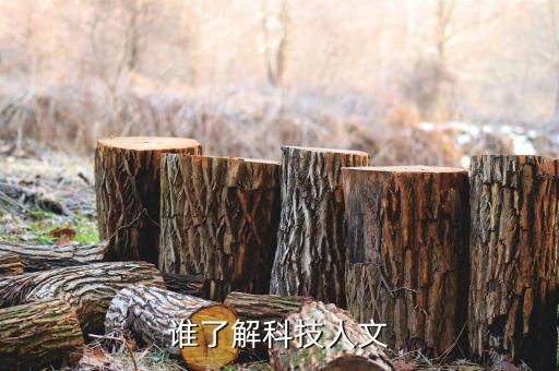 科技理性是什么，什么是 技術理性 和 人文理性 在英語中分別應該怎么翻譯