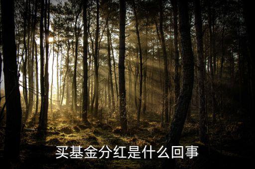 基金為什么分紅，買基金分紅是什么回事