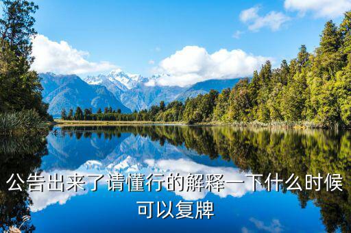 公告出來了請懂行的解釋一下什么時候可以復牌