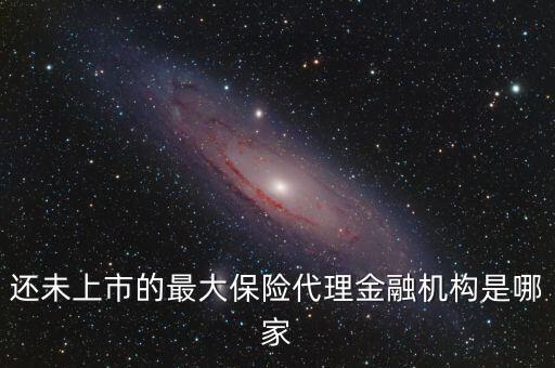 還未上市的最大保險代理金融機構是哪家