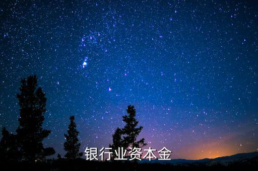 銀行資本金是什么，銀行業資本金