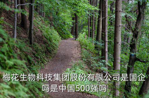 梅花生物是什么板塊，梅花生物科技集團股份有限公司是國企嗎是中國500強嗎