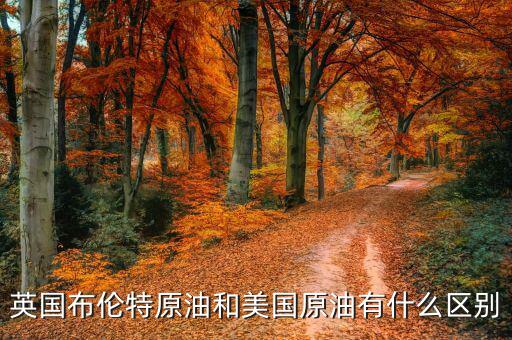 布油與美國原油有什么不同，英國布倫特原油和美國原油有什么區(qū)別