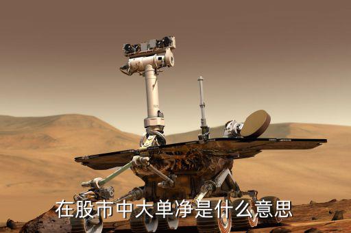 大單凈值什么意思，大單凈比是什么意思