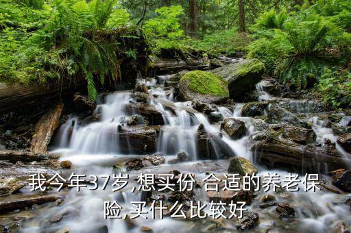 本人37歲要交社保怎么交合適,買養老保險需要考慮哪些因素?