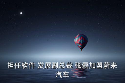 擔任軟件 發展副總裁 張磊加盟蔚來汽車