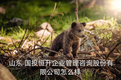  山東 國投恒升企業管理咨詢股份有限公司怎么樣
