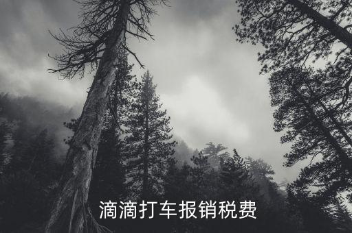 滴滴怎么納稅,如何開具增值稅專用發票?